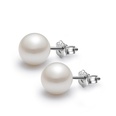 Korean version pearl earrings cupronickel temperament pearl ear jewelry wholesalepicture12